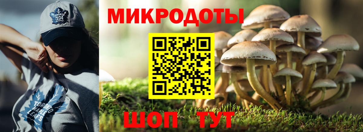 Камышин  наркота  Вход с VPN  Галлюциногенные грибы Psilocybine cubensis 