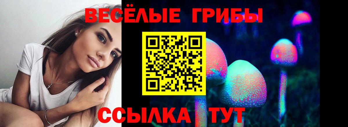 Псилоцибиновые грибы Psilocybe Камышин